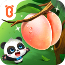 菲利克斯：我没义务传球给C罗！葡国脚表态句句诛心，球王遭抛弃